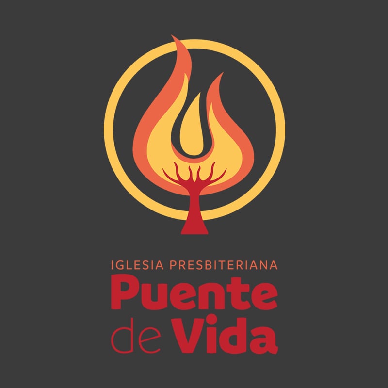 Logo Puente de Vida